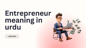 Entrepreneur meaning in Urdu